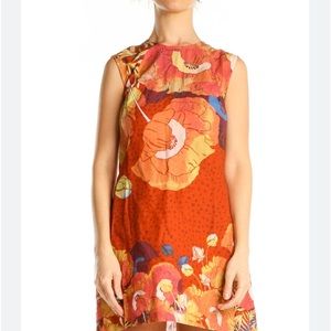 Anthropologie plus size